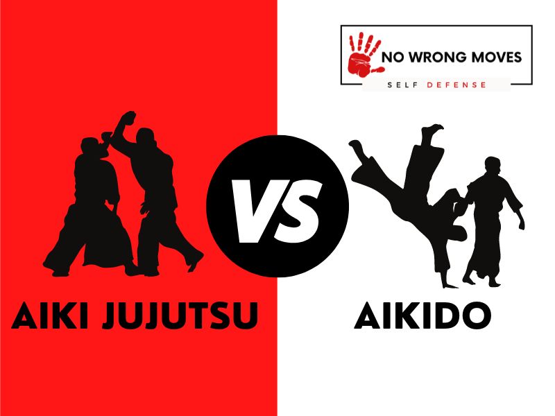 Aiki Jujutsu Vs. Aikido: Which Is Better?
