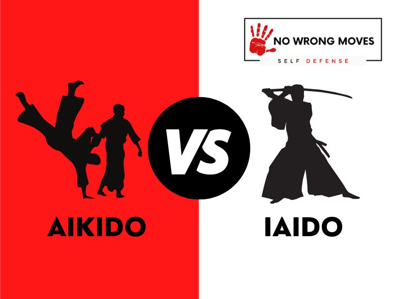 Aikido Vs. Iaido: Key Differences Broken Down