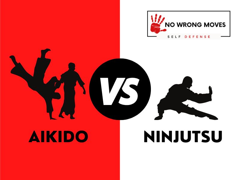 Aikido Vs. Ninjutsu Key Differences Broken Down