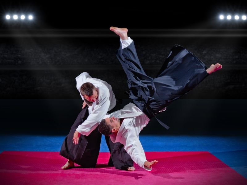 What We Know About Aikido