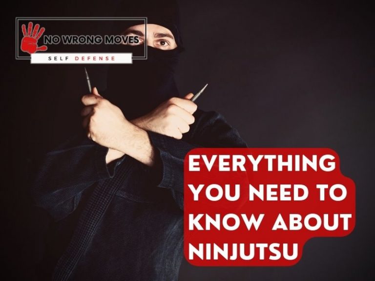 Everything You Need To Know About Ninjutsu No Wrong Moves Martial Arts 3656