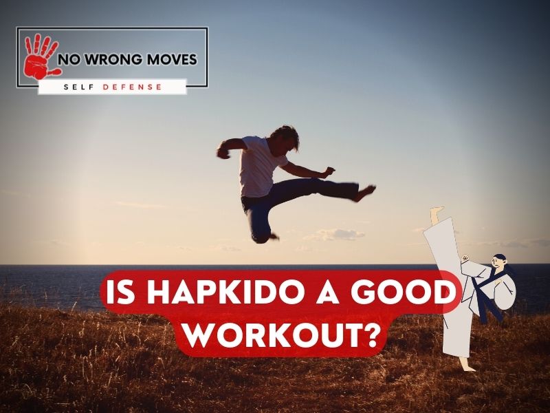 Is Hapkido a Good Workout No Wrong Moves 1