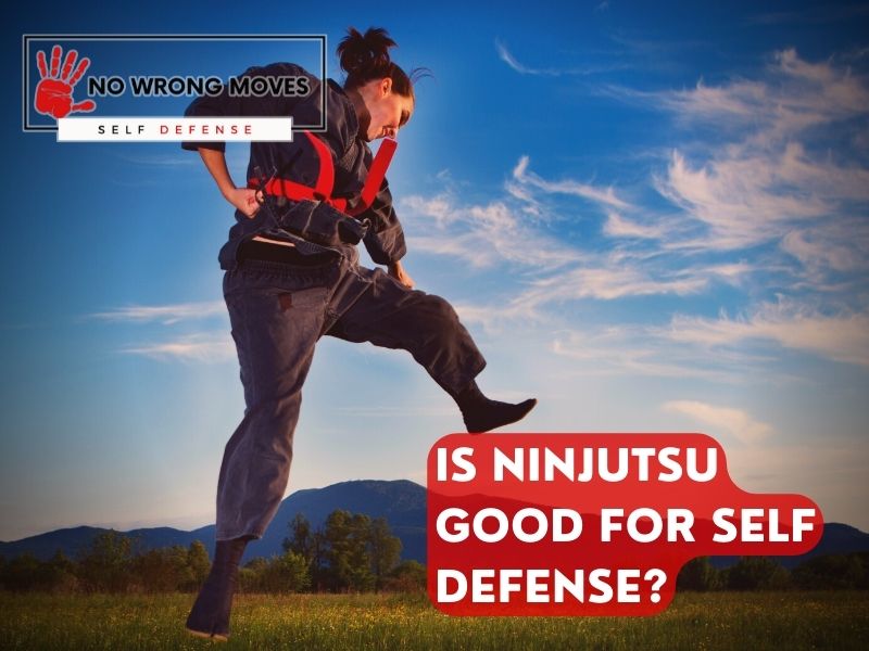 Is Ninjutsu Good For Self Defense? Key Facts & Information