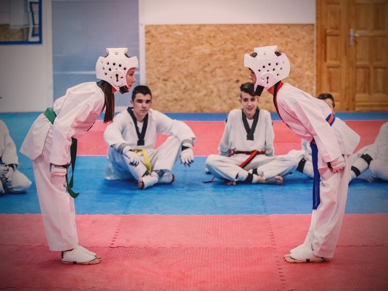 What We Know About Taekwondo