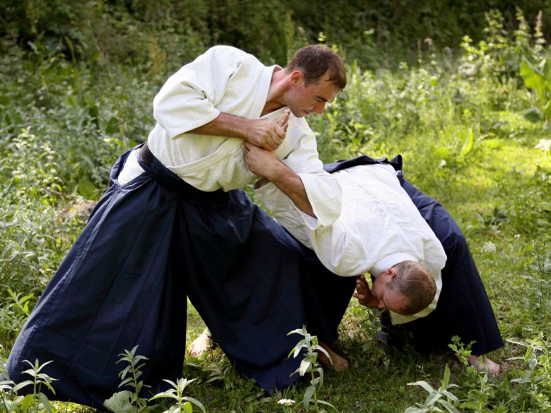 What We Know About Aikido