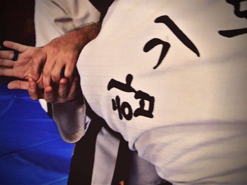 What We Know About Hapkido