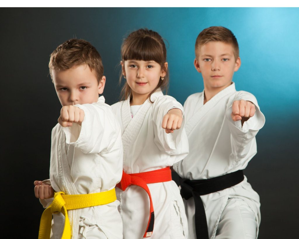 Karate Rankings & Levels