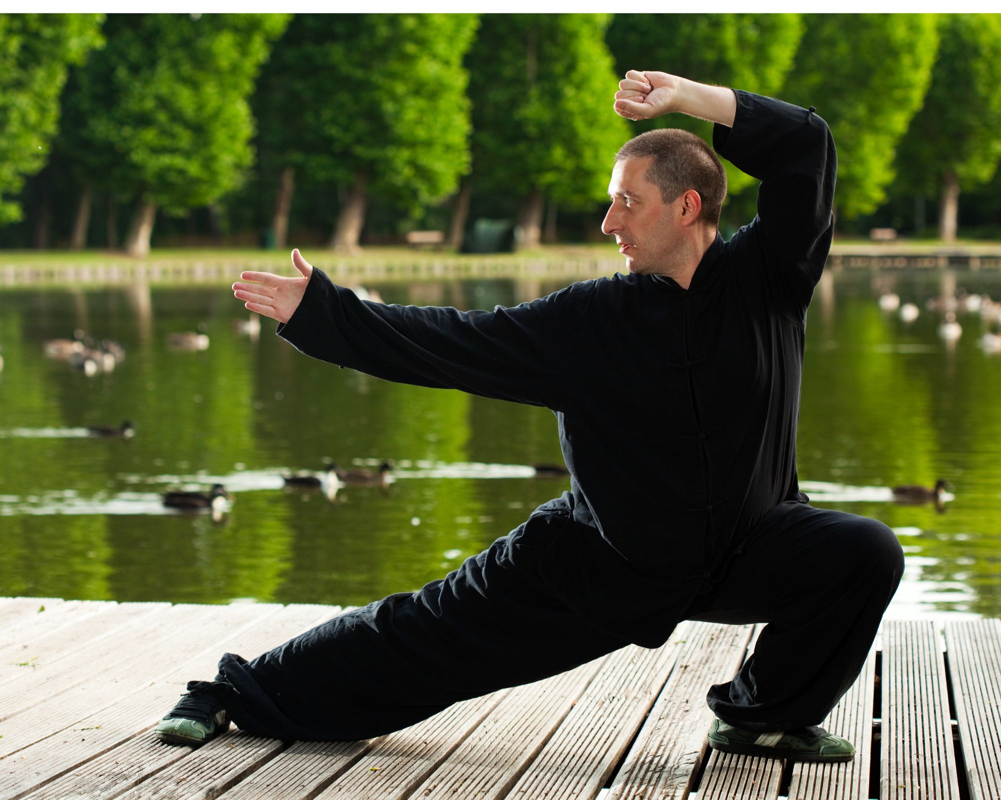 Chen-Style Tai Chi For Beginners: A Dynamic Approach - No Wrong Moves ...