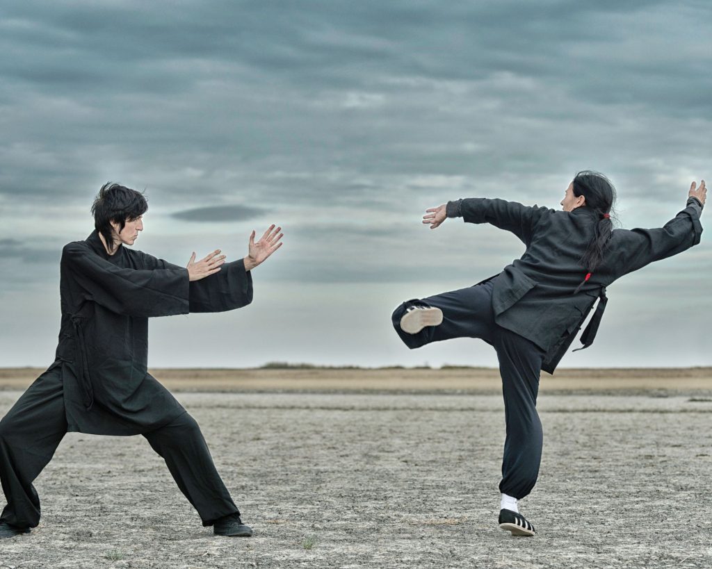 Conclusion: Aikido Vs. Kung Fu