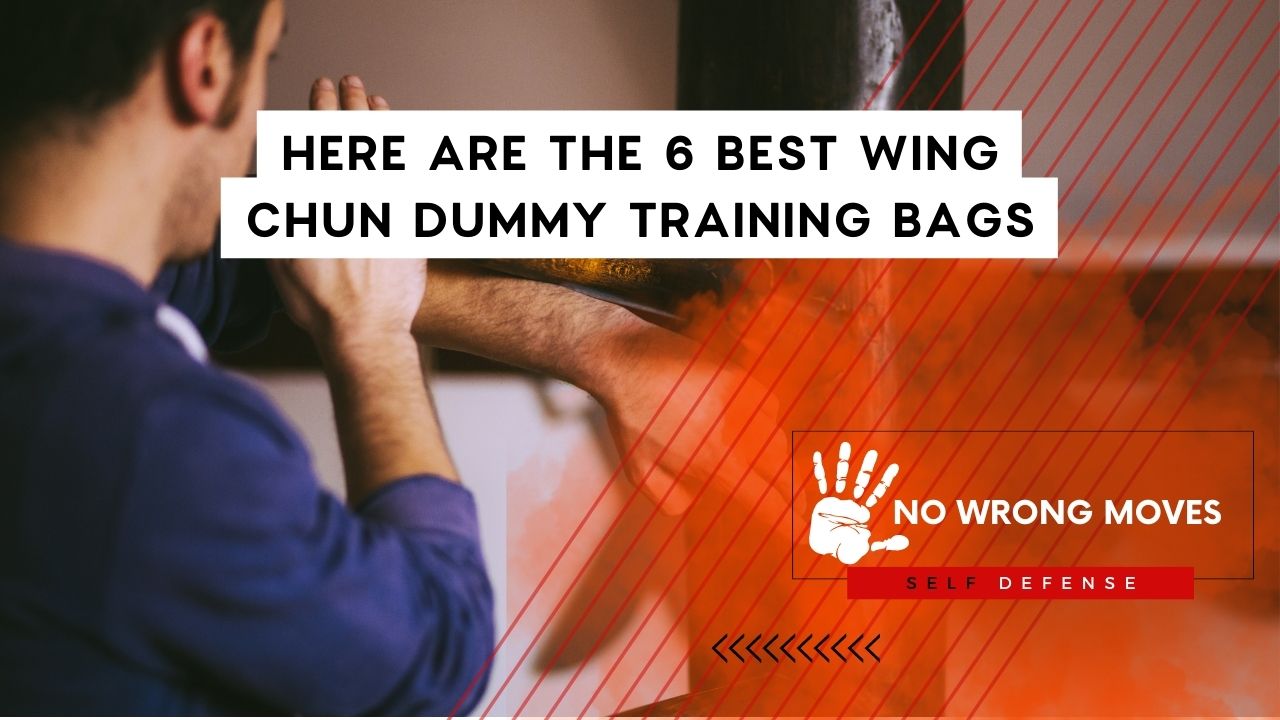 Here Are The 6 BEST Wing Chun Dummy Training Bags