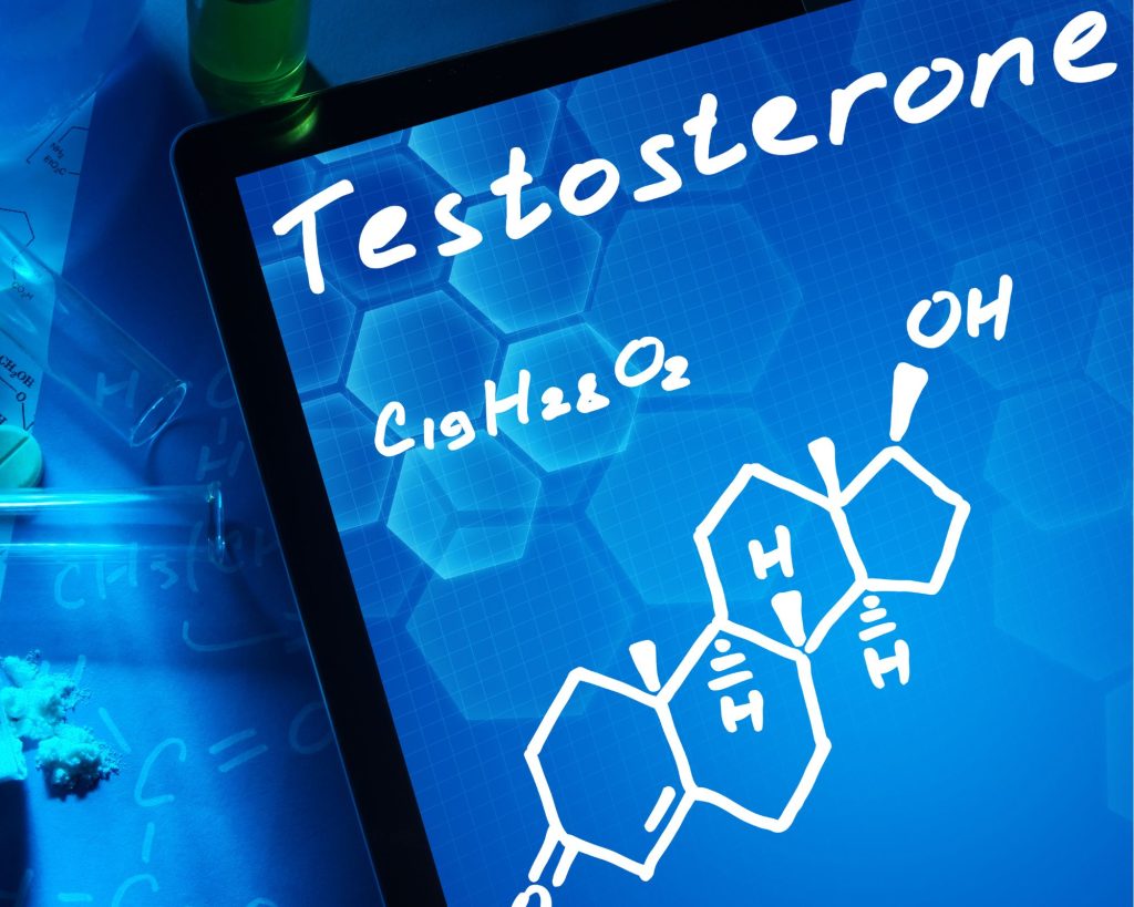 How Does BJJ Help Build Testosterone?