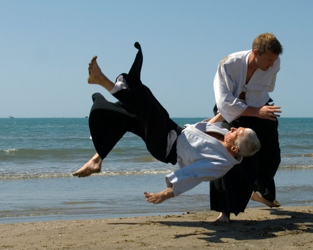 Key Elements Of Aikido (Culture, Values, Practices etc.)