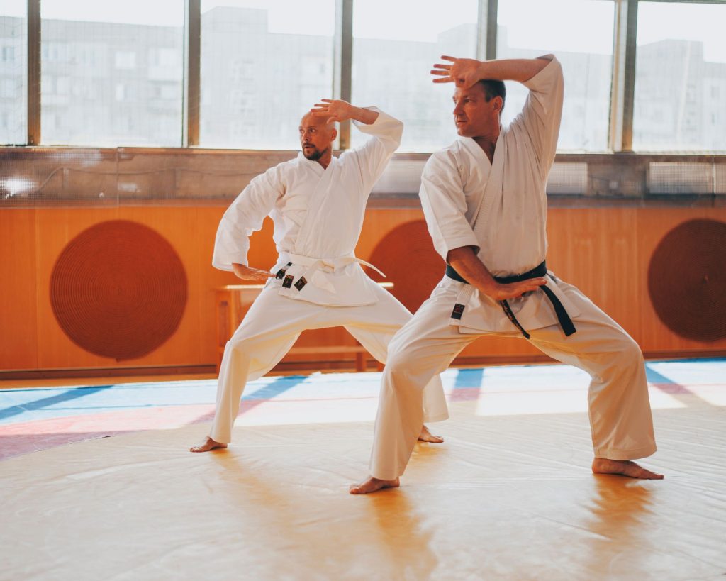 Key Elements Of Karate 1