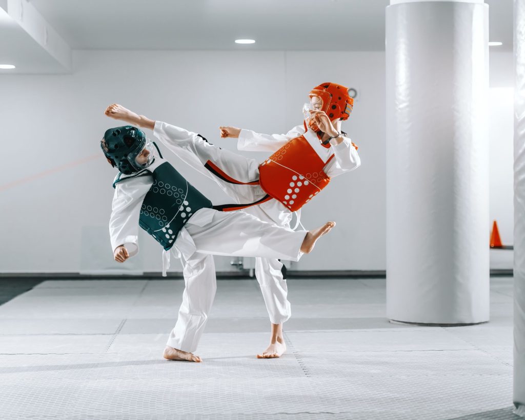 Key Elements Of Taekwondo 1