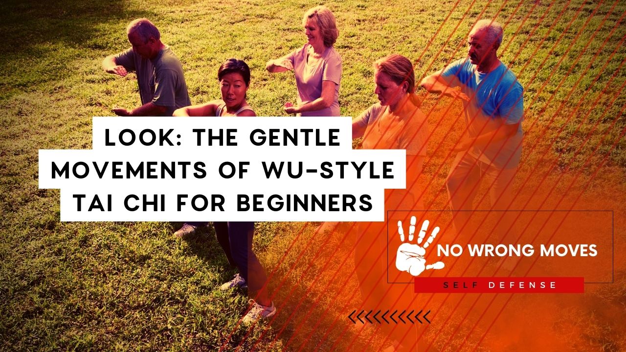 Look The Gentle Movements Of Wu-Style Tai Chi For Beginners
