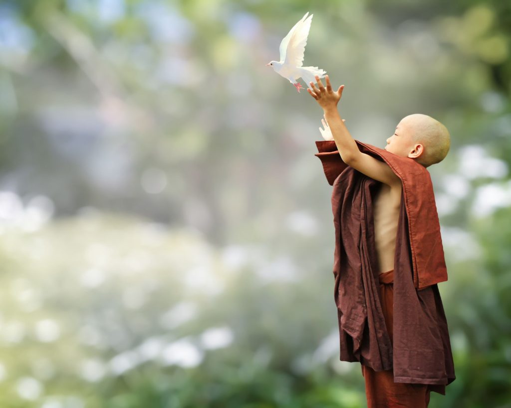 A young Buddhist child, Buddhism being a religion that has heavily influenced tai chi.