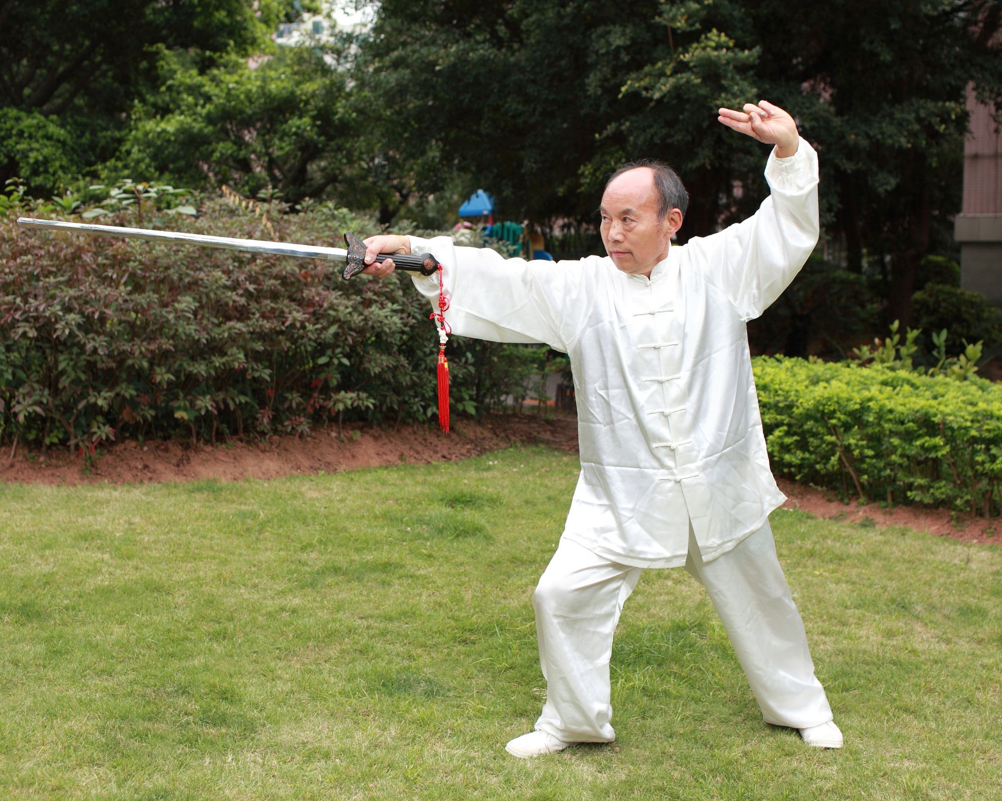 Swords and Flow: Unlock the Power of Tai Chi Sword 16 Form - No Wrong ...