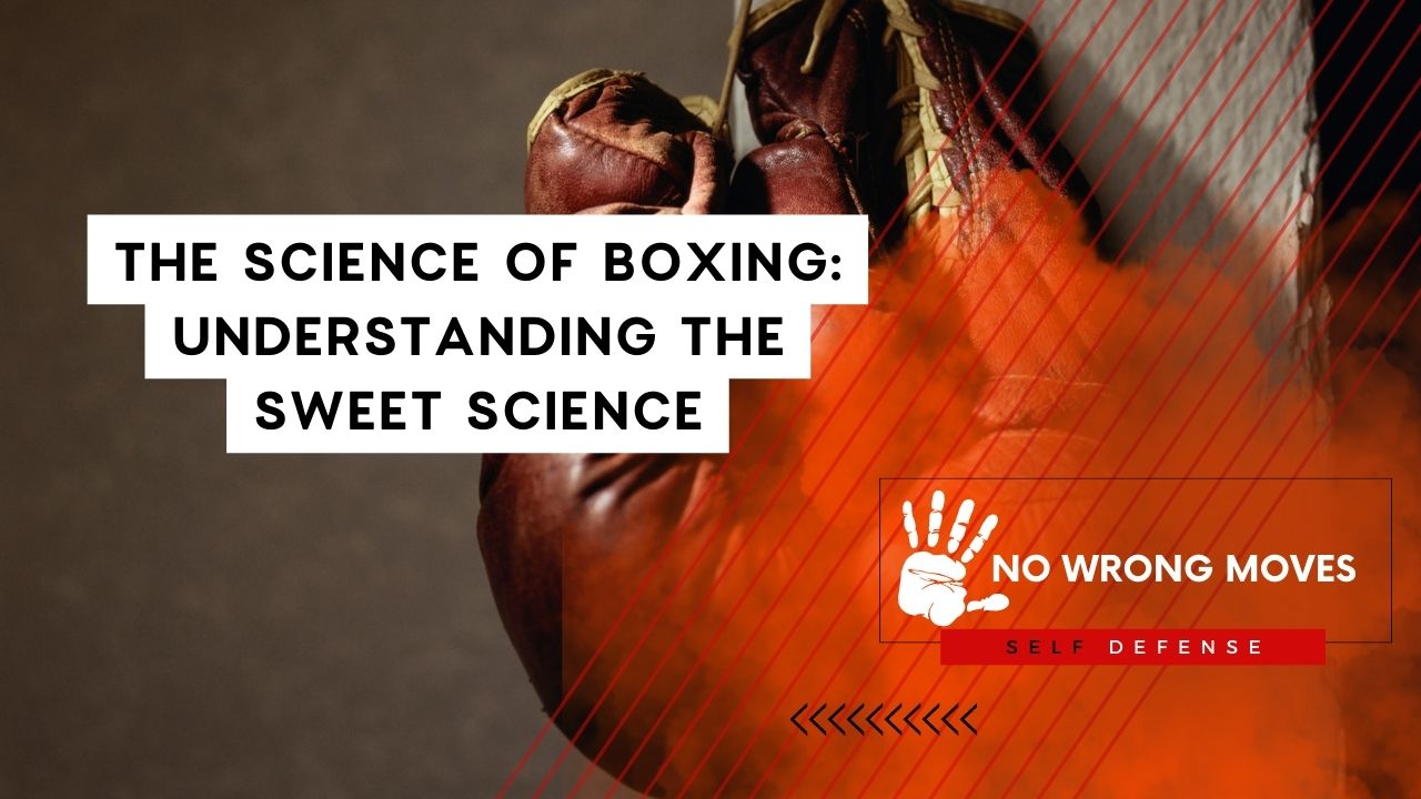 The Science of Boxing Understanding the Sweet Science